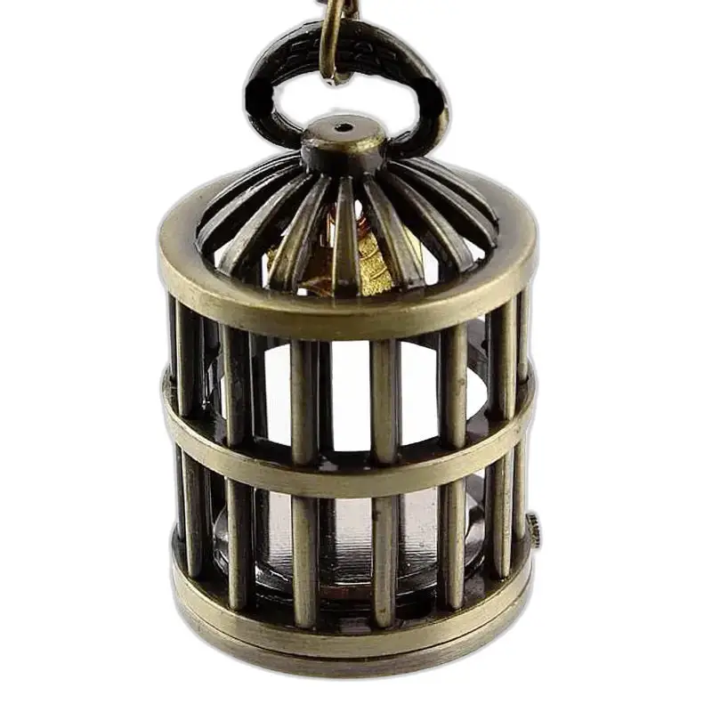 Montre collier Araignée en bronze avec pendentif cage à oiseaux et bracelet acier